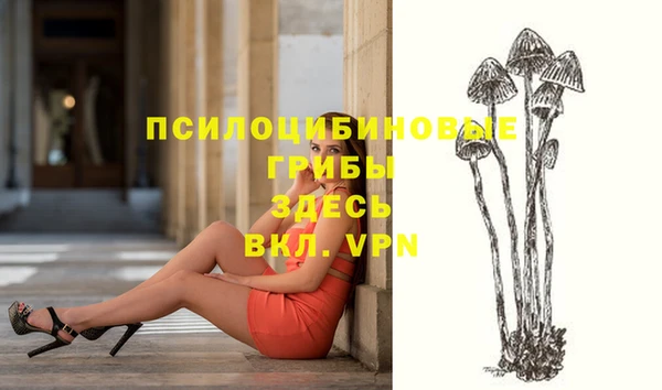 MDMA Premium VHQ Алексеевка