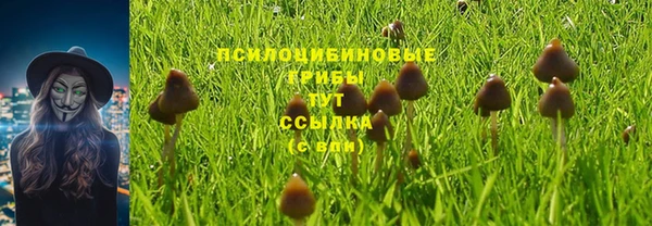 эйфоретик Кодинск