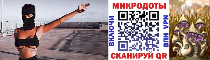 Псилоцибиновые грибы Psilocybe  МЕГА зеркало  Лаишево 